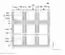 Fig. 01 - Transparent organic light emitting display device and method of manufacturing the same
