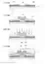 Fig. 07 - Semiconductor device and method for manufacturing the same