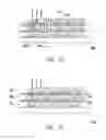 Fig. 11 - PACKAGE STRUCTURE FOR LIGHT EMITTING DEVICE
