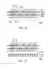 Fig. 15 - PACKAGE STRUCTURE FOR LIGHT EMITTING DEVICE