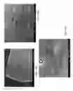 Fig. 14 - Thermoelectric Device Fabrication Using Direct Bonding