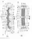 Fig. 08 - FLEXIBLE THERMOELECTRIC GENERATOR