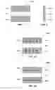 Fig. 02 - Magnetic memory cells and methods of fabrication