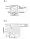 Fig. 02 - ELECTRO-OPTICAL DEVICE AND THE USE THEREOF