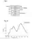 Fig. 06 - ELECTRO-OPTICAL DEVICE AND THE USE THEREOF