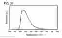 Fig. 22 - Anthracene compound, light-emitting element, light-emitting device, electronic appliance, and lighting device