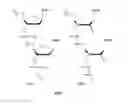 Fig. 02 - Self-assembled peptide nucleic acids