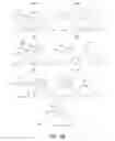 Fig. 04 - Self-assembled peptide nucleic acids