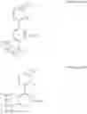 Fig. 271 - ORGANOMETALLIC COMPOUND AND ORGANIC LIGHT-EMITTING DEVICE INCLUDING THE SAME