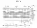 Fig. 04 - Organic light-emitting display apparatus and method of manufacturing the same