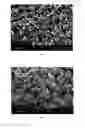Fig. 03 - COATED SEPARATORS FOR LITHIUM BATTERIES AND RELATED METHODS