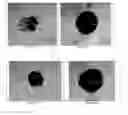 Fig. 07 - COATED SEPARATORS FOR LITHIUM BATTERIES AND RELATED METHODS