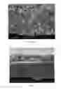 Fig. 09 - COATED SEPARATORS FOR LITHIUM BATTERIES AND RELATED METHODS