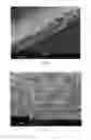 Fig. 12 - COATED SEPARATORS FOR LITHIUM BATTERIES AND RELATED METHODS