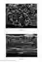 Fig. 14 - COATED SEPARATORS FOR LITHIUM BATTERIES AND RELATED METHODS