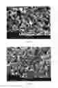 Fig. 16 - COATED SEPARATORS FOR LITHIUM BATTERIES AND RELATED METHODS