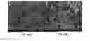 Fig. 17 - Porous silicon oxide (SiO) anode enabled by a conductive polymer binder and performance enhancement by stabilized lithium metal power (SLMP)