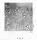 Fig. 02 - Active material for nonaqueous electrolyte battery, electrode for nonaqueous electrolyte battery, nonaqueous electrolyte secondary battery and battery pack