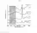 Fig. 04 - ELASTIC GEL POLYMER BINDER FOR SILICON-BASED ANODE