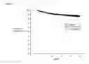 Fig. 04 - Cathode for lithium-sulfur battery and manufacturing method therefor