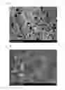 Fig. 04 - Solid oxide fuel cell and method for manufacturing same