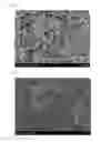 Fig. 05 - Solid oxide fuel cell and method for manufacturing same