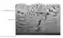 Fig. 01 - NANOCOMPOSITE PARTICLES OF CONVERSION CHEMISTRY AND MIXED ELECTRONIC IONIC CONDUCTOR MATERIALS