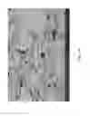 Fig. 15 - NANOCOMPOSITE PARTICLES OF CONVERSION CHEMISTRY AND MIXED ELECTRONIC IONIC CONDUCTOR MATERIALS