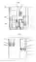 Fig. 04 - Enclosed switchboard