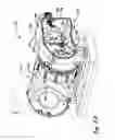 Fig. 21 - Dynamic sealing encoder assembly