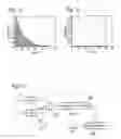 Fig. 04 - ADAPTIVE CONTROLLER BASED ON TRANSIENT NORMALIZATION