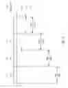 Fig. 09 - Resistor controlled timer circuit with gain ranging