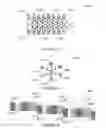 Fig. 21 - SC-LDPC codes for wireless communication systems: framework and zigzag-window decoder