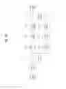 Fig. 17 - Apparatus for transmitting and receiving a signal and method of transmitting and receiving a signal