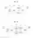 Fig. 41 - Apparatus for transmitting and receiving a signal and method of transmitting and receiving a signal