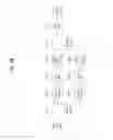 Fig. 42 - Apparatus for transmitting and receiving a signal and method of transmitting and receiving a signal