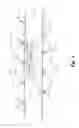 Fig. 04 - LED light global positioning and routing communication system