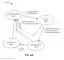 Fig. 03 - CLUSTER ARCHITECTURE FOR NETWORK SECURITY PROCESSING