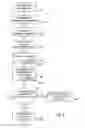 Fig. 03 - Method for accessing a plurality of services by a mobile terminal user, and related secure device