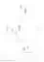 Fig. 04 - ROGUE ACCESS POINT DETECTION