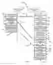 Fig. 10 - Encrypted streams to receivers
