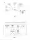 Fig. 02 - Performing an action on a social networking system based on a content identifier embedded in provided content