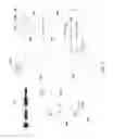 Fig. 03 - Decoupled audio and video codecs