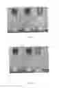 Fig. 05 - SYSTEMS AND METHODS FOR REMOTE PRESENCE