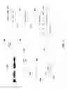Fig. 03 - Embedded RTCP packets