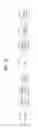Fig. 19 - Method for transmitting broadcast signal and apparatus for transmitting broadcast signal