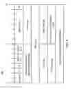 Fig. 09 - Codec selection based on offer