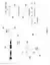 Fig. 03 - MOBILE DEVICE AUDIO TUNING