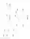 Fig. 12 - Seamless codec switching