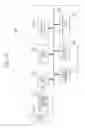Fig. 16 - Solid state imaging device having a shared pixel structure and electronic apparatus